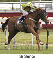 Si Senor (14510 bytes)