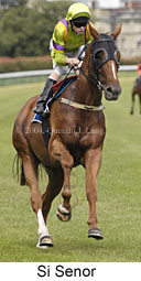 Si Senor (12613 bytes)