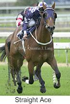 r1straightace2.jpg (9551 bytes)