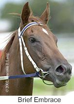 r3briefembrace2.jpg (8133 bytes)