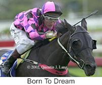 r4borntodream.jpg (9496 bytes)