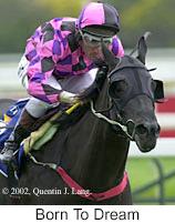 r4borntodream3.jpg (9111 bytes)