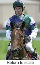 r5rtosc.jpg (8667 bytes)