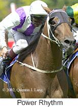 r6powerrhythm.jpg (10422 bytes)