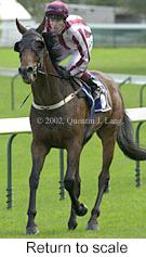 r7rtosc.jpg (9476 bytes)