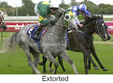 r8extorted2.jpg (11017 bytes)