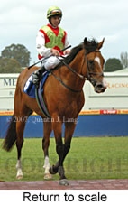 Return to scale (15361 bytes)