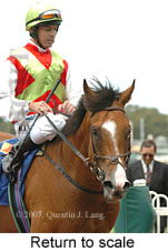 Return to scale (15361 bytes)