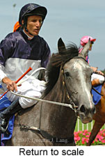 Return to scale (15361 bytes)