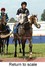 Return to scale (15361 bytes)