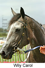 Wily Carol (14872 bytes)