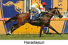 Haradasun (14872 bytes)