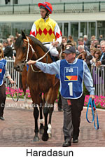 Haradasun (14872 bytes)