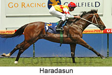 Haradasun (14872 bytes)