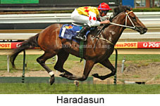 Haradasun (14872 bytes)