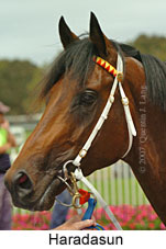 Haradasun (14872 bytes)