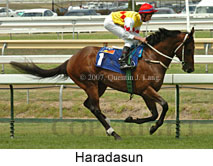 Haradasun (14872 bytes)