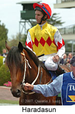 Haradasun (14872 bytes)