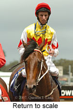 Return to scale (15361 bytes)