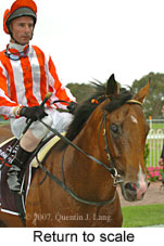 Return to scale (15361 bytes)