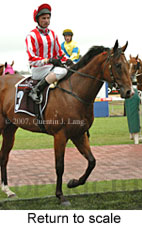 Return to scale (15361 bytes)