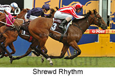 Shrewd Rhythm (14872 bytes)