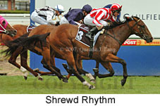 Shrewd Rhythm (14872 bytes)