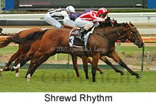 Shrewd Rhythm (14872 bytes)