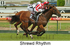 Shrewd Rhythm (14872 bytes)