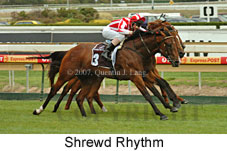 Shrewd Rhythm (14872 bytes)