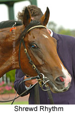 Shrewd Rhythm (14872 bytes)