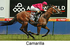 Camarilla (14872 bytes)