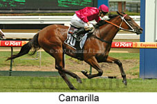 Camarilla (14872 bytes)