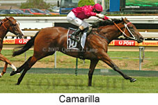 Camarilla (14872 bytes)