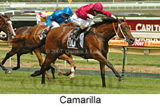 Camarilla (14872 bytes)