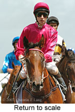 Return to scale (15361 bytes)