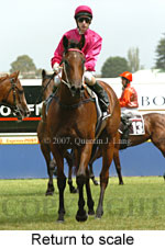 Return to scale (15361 bytes)