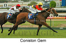 Coniston Gem (14872 bytes)