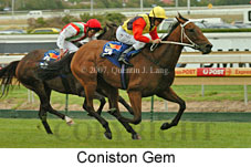 Coniston Gem (14872 bytes)