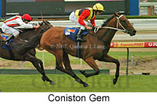 Coniston Gem (14872 bytes)