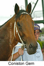 Coniston Gem (14872 bytes)
