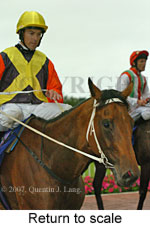 Return to scale (15361 bytes)