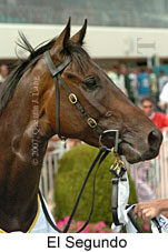 El Segundo (14872 bytes)