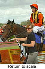 Return to scale (15361 bytes)