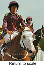 Return to scale (15361 bytes)