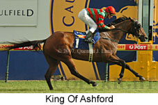 King Of Ashford (14872 bytes)