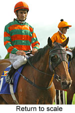 Return to scale (15361 bytes)