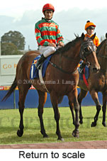 Return to scale (15361 bytes)