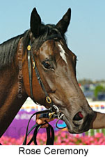 Rose Ceremony (14872 bytes)