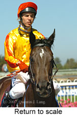 Return to scale (15361 bytes)